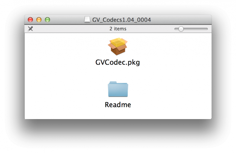 GV_codecs.png