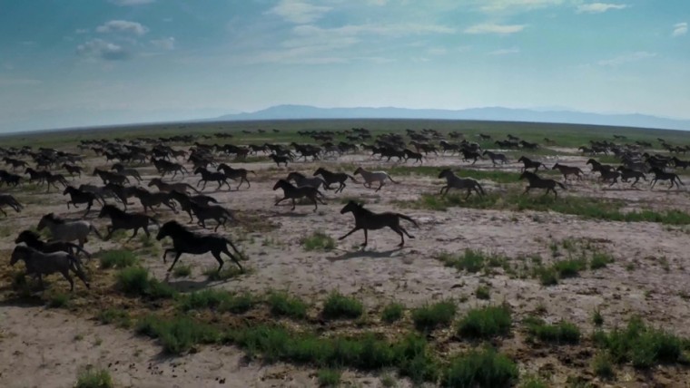 [4K高清演示片] 极限运动.冒险.精彩瞬间GoPro - Be a  HERO - 4K.mp4_000039.921.jpg.jpg