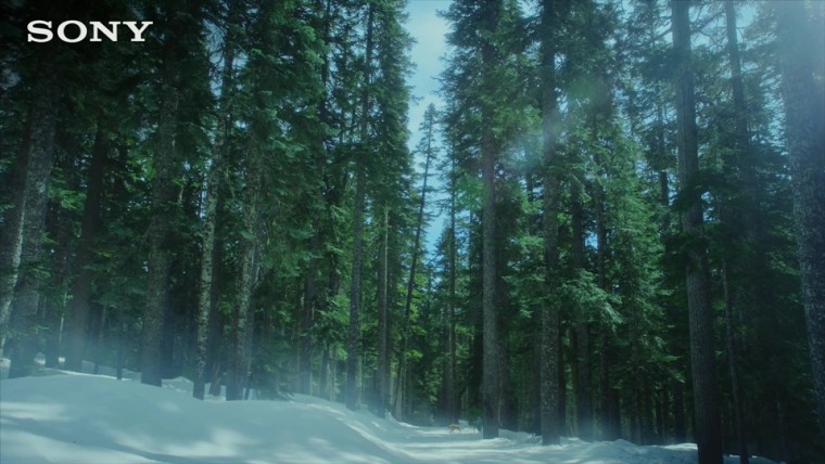 [索尼.4K.演示片] 电视广告.mp4_000000.949.jpg