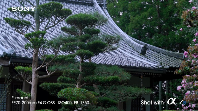[索尼.4K.演示片] 全帧感光相机Sony A7s Full-Frame Sensor Camera- 4K Video Demo co.jpg