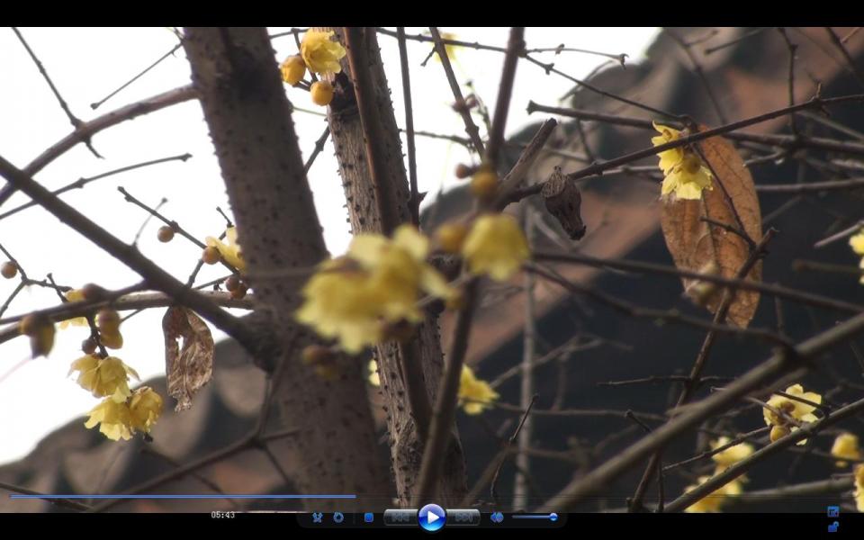 新建位图图像 (5).jpg