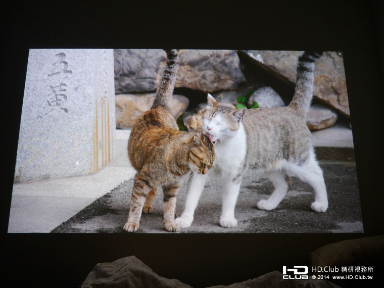 視覺效果