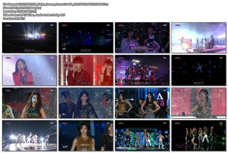141012.SBS.2014_Hallyu_Dream_Concert.T-ARA_Cut.HDTV.MPEG2.1080i-Eir.ts.jpg