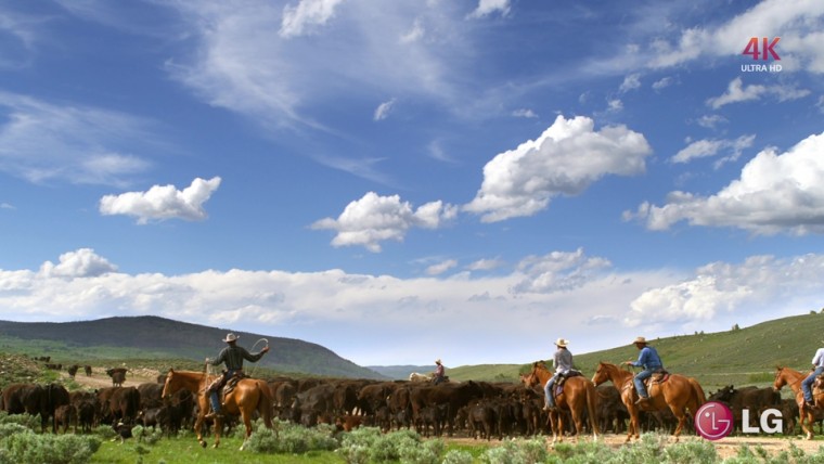 [LG.4K.演示片] 旅行美食.MP4_000002.979.jpg