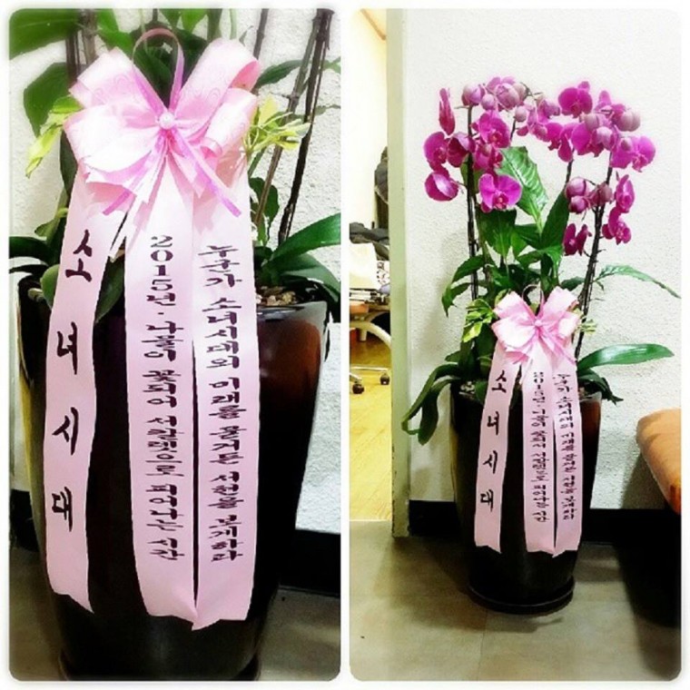 150112 hamjiback IG 2015年 用水澆灌出的花朵徐嘉麗 到了綻放的時候 如果有人問少女.jpg