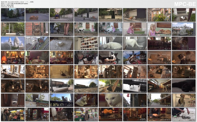 岩合光昭の世界ネコ歩き「パリ」.m2ts_thumbs_[2014.12.27_12.48.48].jpg