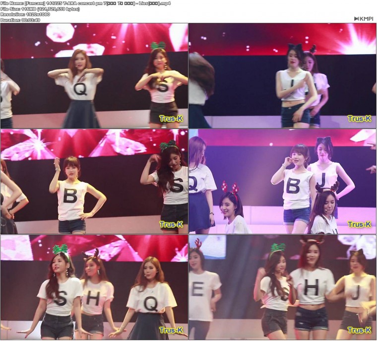 [Fancam] 141225 T-ARA concert pm 7(티아라 7시 콘서트) - Lies(거짓말).JPG