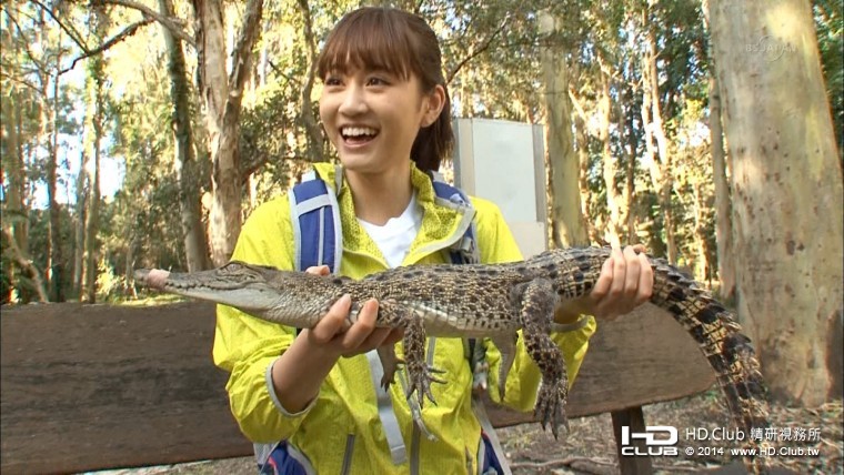 前田敦子 希少動物の大地 オーストラリアをゆく4.jpg