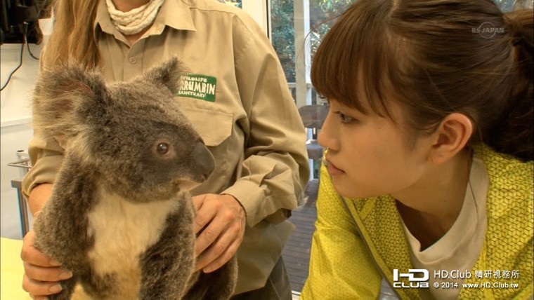 前田敦子 希少動物の大地 オーストラリアをゆく5.jpg