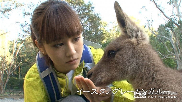 前田敦子 希少動物の大地 オーストラリアをゆく6.jpg