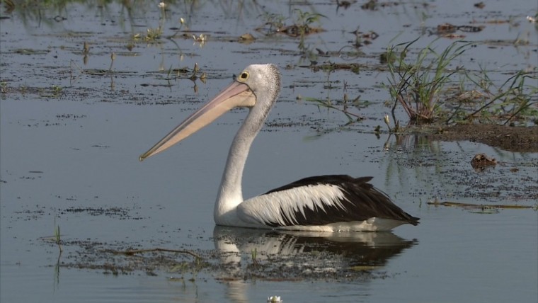 [松下高清演示片] 铁路.m2ts_20150117_131718.015.jpg