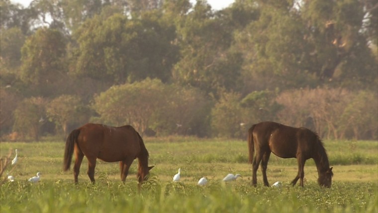 [松下高清演示片] 铁路.m2ts_20150117_131753.375.jpg