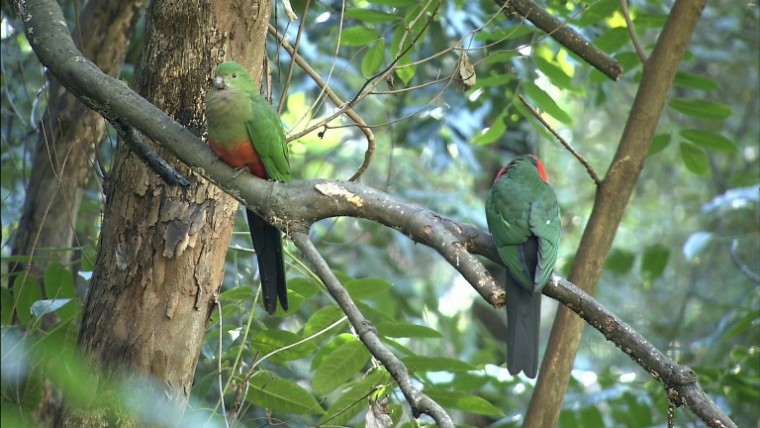 [松下高清演示片] 铁路.m2ts_20150117_131322.015.jpg