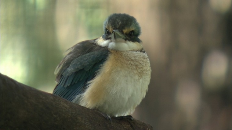 [松下高清演示片] 铁路.m2ts_20150117_131344.312.jpg