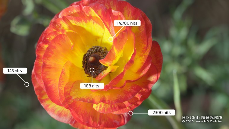 單一影像的動態範圍（以尼特數為單位）.jpg