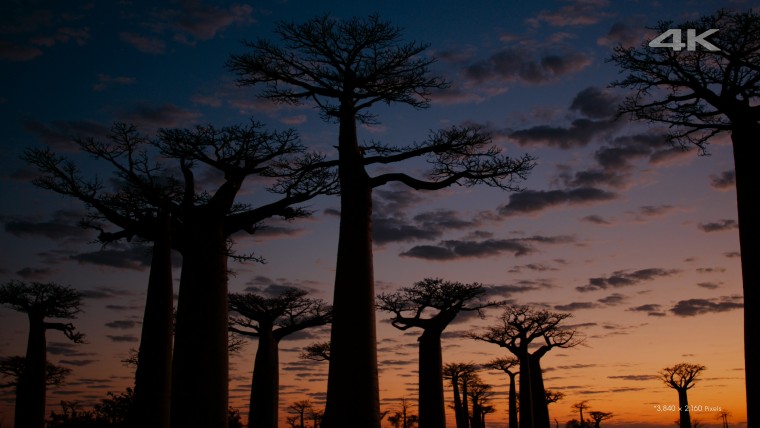 [索尼.4K.演示片] 另一个世界Another World.mkv_000034.133.jpg