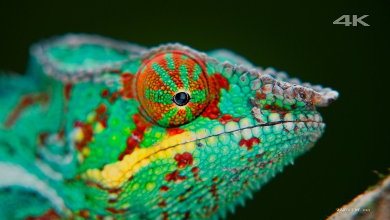 [索尼.4K.演示片] 另一个世界Another World.mkv_000101.552.jpg