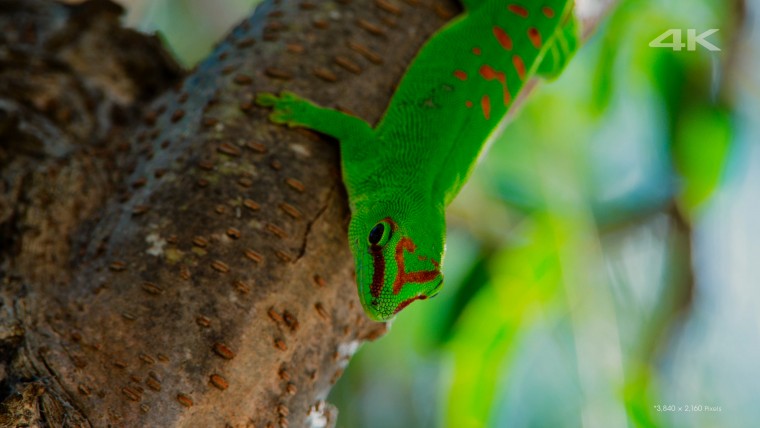 [索尼.4K.演示片] 另一个世界Another World.mkv_000159.934.jpg