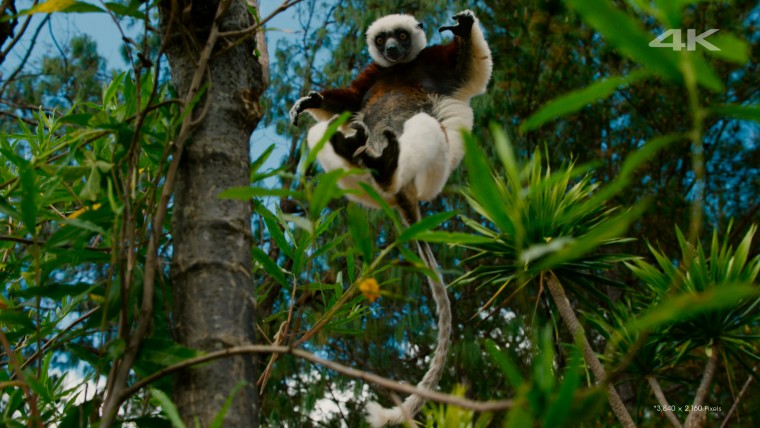 [索尼.4K.演示片] 另一个世界Another World.mkv_000242.556.jpg