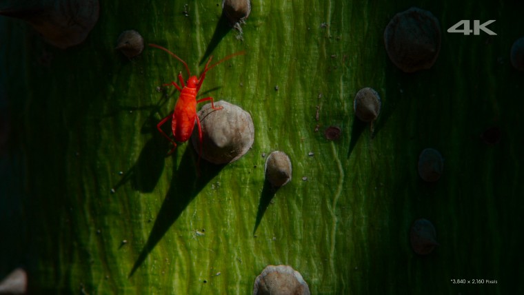 [索尼.4K.演示片] 另一个世界Another World.mkv_000131.861.jpg