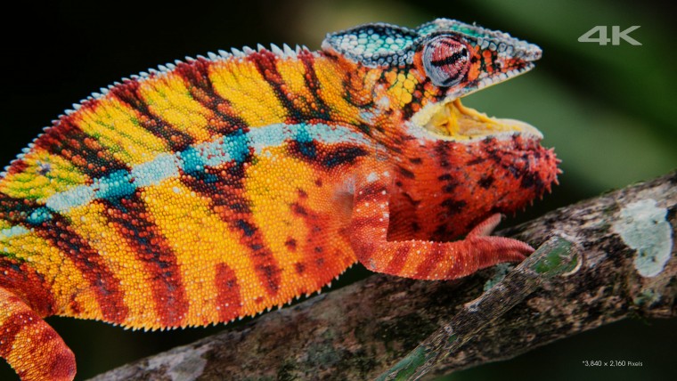 [索尼.4K.演示片] 另一个世界Another World.mkv_000138.546.jpg