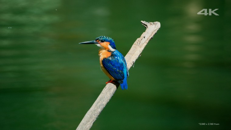 [索尼.4K.演示片] 另一个世界Another World.mkv_000141.442.jpg