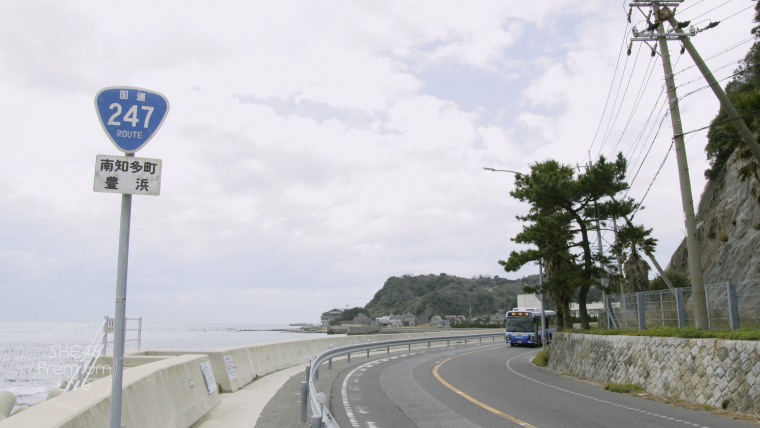 SKE48 - SKE48 Premium Live (Channel 4K 2015.03.17).ts_20150424_012024.078.png