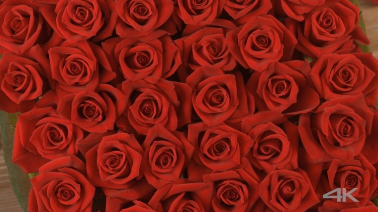 [松下.4K.演示片] 奇妙的世界Marvelous_World_EU_30p_HighQuality.m2ts_20150506_0026.jpg