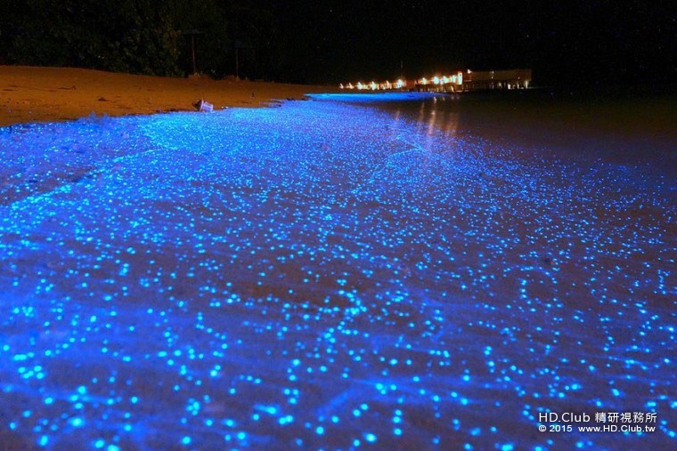 11. 馬爾地夫的螢光海灘 (Glowing Beach).jpg