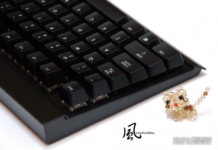 CK7008.jpg