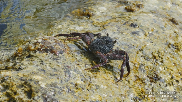 Image12.jpg