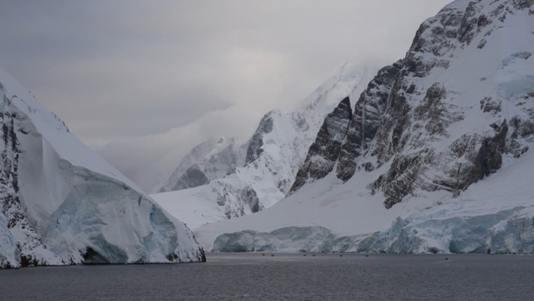 [索尼.4K.演示片] 北极动物.mp4_20150711_191450.640.jpg