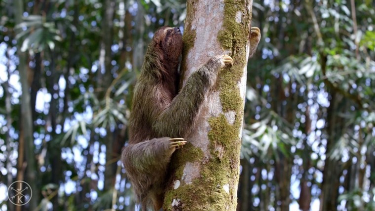 [J&K.4K.演示片] 哥斯达黎加.mp4_20150711_191224.687.jpg