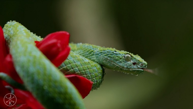 [J&K.4K.演示片] 哥斯达黎加.mp4_20150711_190818.531.jpg