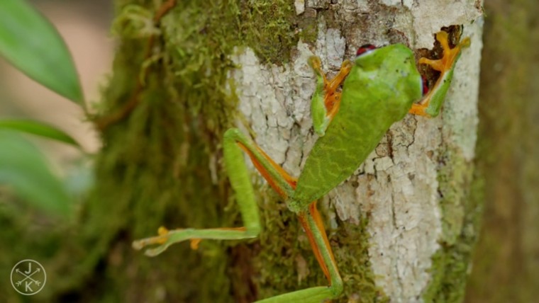 [J&K.4K.演示片] 哥斯达黎加.mp4_20150711_190911.125.jpg