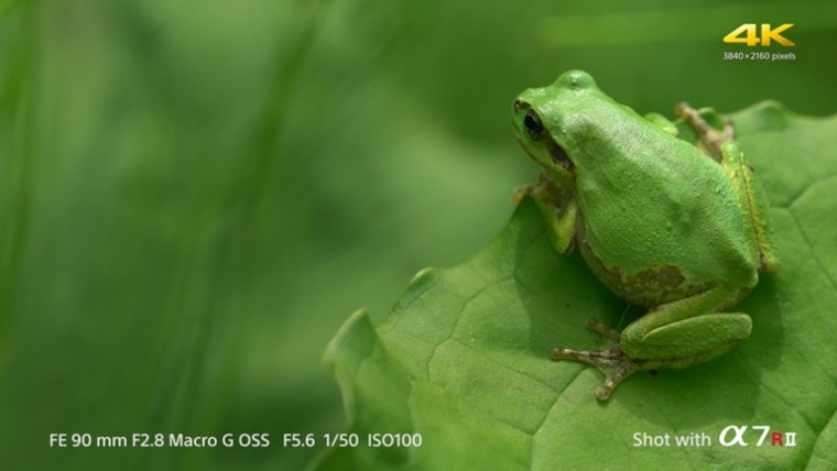 [索尼.4K.演示片] a7RII 4K相机a7RII_4Kmovie 100Mbps_XAVC相机源码.mp4_20150713_174.jpg