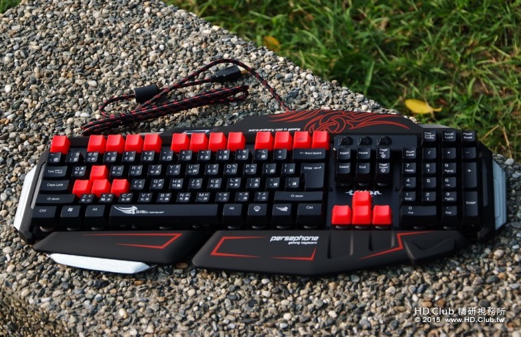 TCK80404.jpg