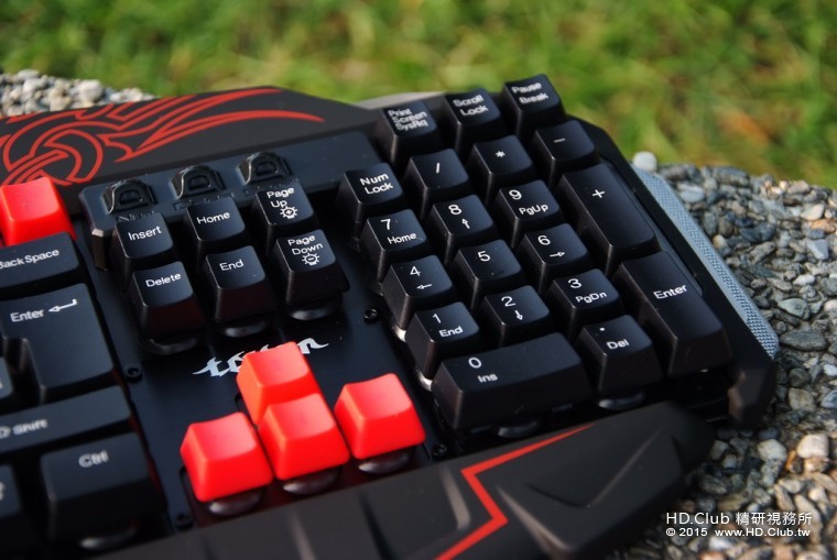 TCK80405.jpg