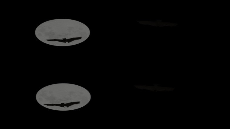 [松下.4K3D.演示片] 暗流涌动-4K-3D-OU 200Mbps 10bit 6Ch.mp4_000021.740.jpg