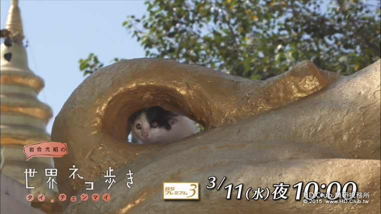 iwa_thai_03_15.png