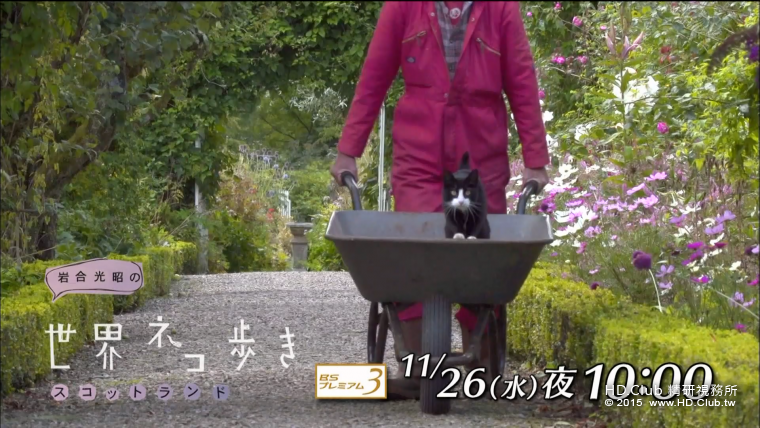 iwa_sco_11_14.png