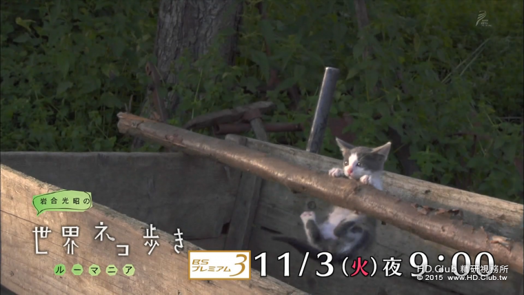 iwa1115.png