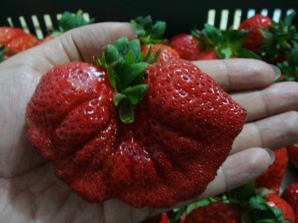 DSC01723.JPG
