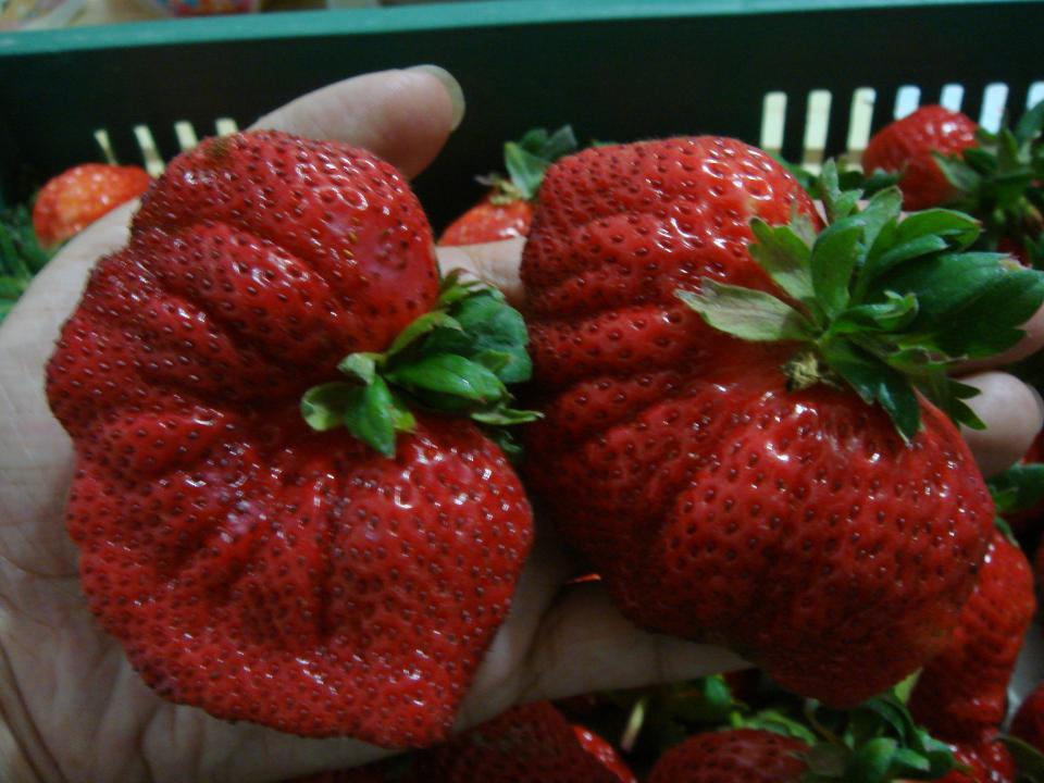 DSC01724.JPG
