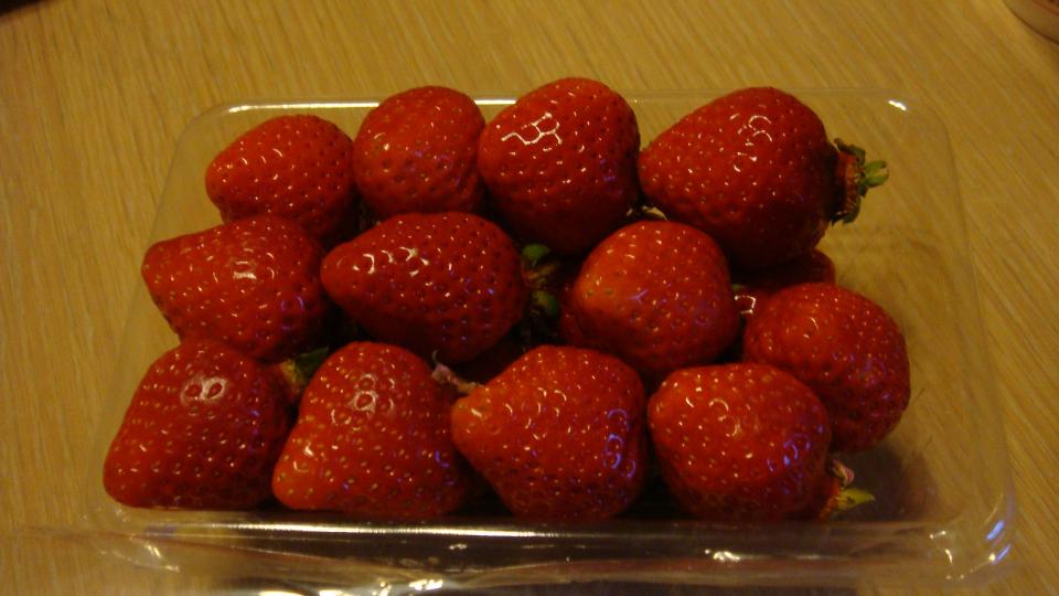 DSC00121.JPG