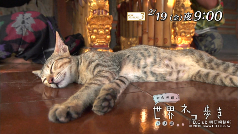iwa0216.png
