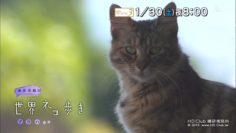 0130.png