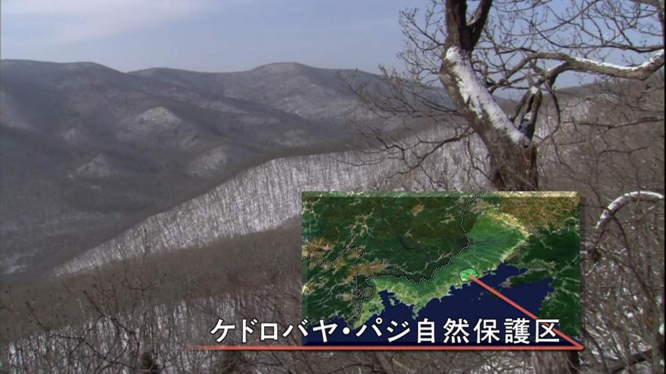 090321-091759-1280x720p-000104.JPG