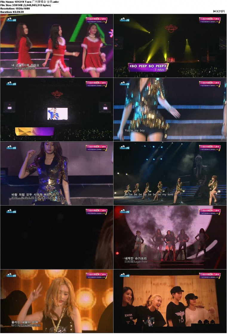 151219 T-ara 广州演唱会 全场.JPG