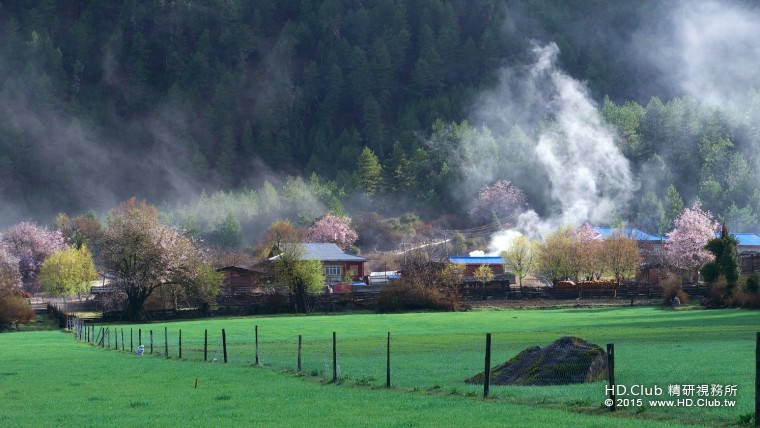 P1090158s.jpg